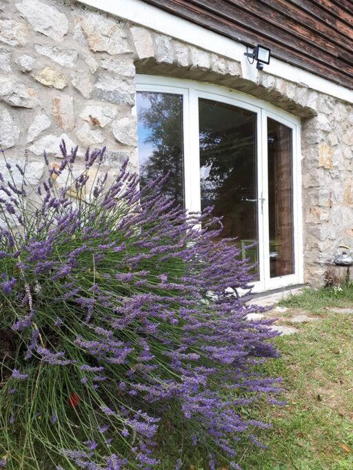 Bel Appartement Rez-De-Jardin Saint-Genest-Malifaux Екстер'єр фото